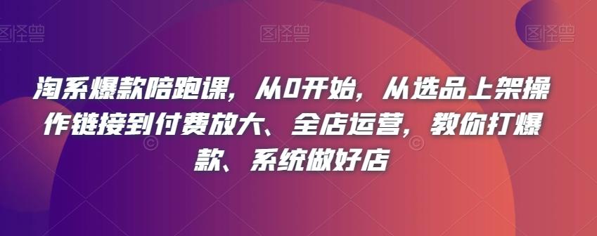 淘系爆款陪跑课，从0开始，从选品上架操作链接到付费放大、全店运营，教你打爆款、系统做好店-小艾项目网