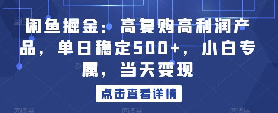 闲鱼掘金：高复购高利润产品，单日稳定500+，小白专属，当天变现-百盛轻创