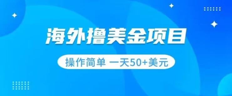 撸美金项目无门槛操作简单小白一天50+美刀-小艾项目网