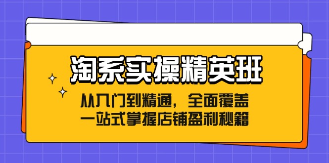 淘系实操精英班：从入门到精通，全面覆盖，一站式掌握店铺盈利秘籍-百盛轻创