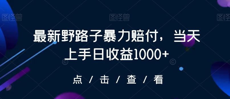 最新野路子暴力赔付，当天上手日收益1000+【仅揭秘】-百盛轻创
