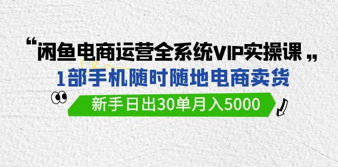 (9547期)闲鱼电商运营全系统VIP实战课，1部手机随时随地卖货，新手日出30单月入5000-百盛轻创