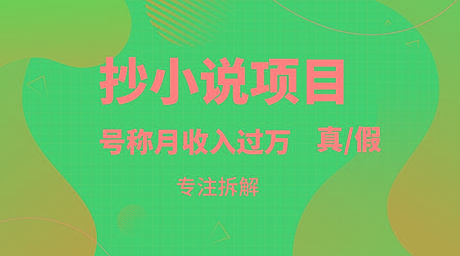 抄小说项目，号称月入过万，到底是否真实，能不能做，详细拆解-百盛轻创