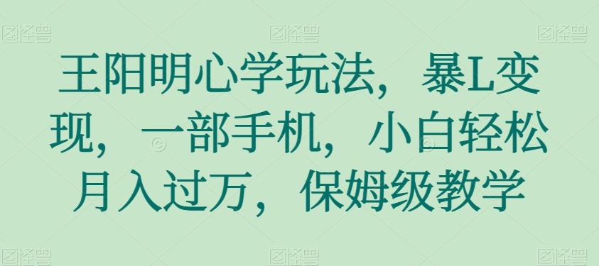 王阳明心学玩法，暴L变现，一部手机，小白轻松月入过万，保姆级教学【揭秘】-小艾项目网