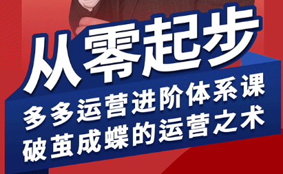 海神·拼多多运营进阶系统课(更新8月)-百盛轻创