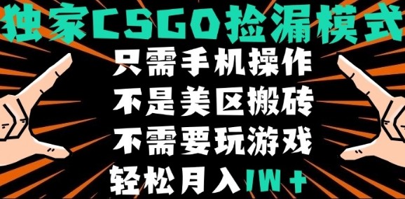 CSGO自动捡漏项目，最新独家玩法，不是美区搬砖，不需要了解和玩游戏，新手小白轻松月入1W+【揭秘】-小艾项目网