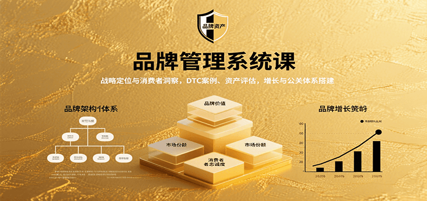 品牌管理系统课：战略定位与消费者洞察，DTC案例、资产评估，增长与公关体系搭建-小艾项目网