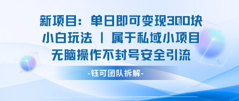 新项目单日即可变现3张的小白玩法无脑操作不封号安全引流-小艾项目网