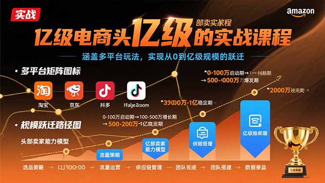 亿级电商头部卖家的实战课程：涵盖多平台玩法，实现从0到亿级规模的跃迁-百盛轻创