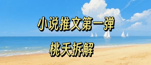 小说推文项目操作全流程第一弹，0粉就能做，门槛低非常适合新手-百盛轻创