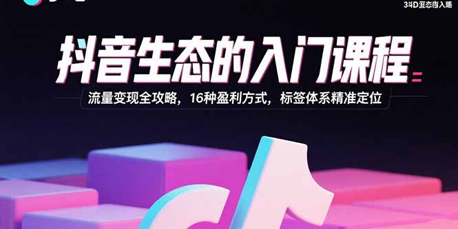 抖音生态的入门课程：流量变现全攻略，16种盈利方式，标签体系精准定位-百盛轻创