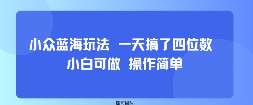 小众蓝海玩法 一天搞了四位数 小白可做 操作简单-百盛轻创