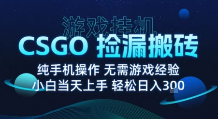 8月最新游戏搬砖，CSGO纯挂G，不需要玩游戏，实现真挂G，月入1W+【揭秘】-百盛轻创