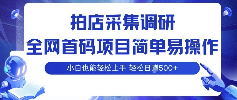 拍店采集调研，全网首码项目，简单易操作， 小白也能轻松上手，多账号操作，轻松日入5张【揭秘】-小艾项目网