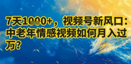 7天收益1k+，视频号新风口：中老年情感视频如何月入过W?-百盛轻创