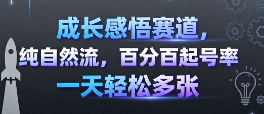 成长感悟赛道，纯自然流，百分百起号率 一天轻松多张-百盛轻创