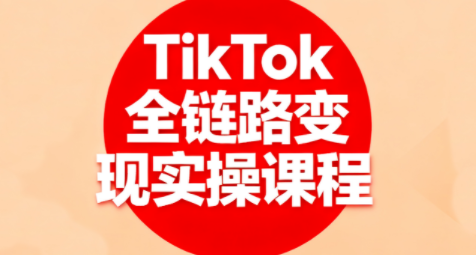 小杨老师·TikTok全链路变现实操课程-小艾项目网