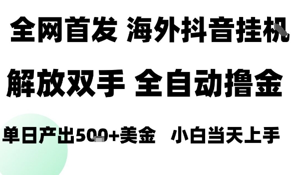 海外抖音无人直播，单日产出1.5k+，长期稳定，新手可玩，无脑操作【揭秘】-小艾项目网