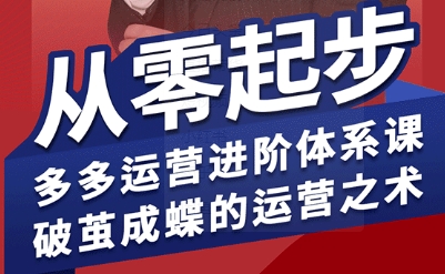 拼多多运营进阶系统课，从零起步，多多运营进阶体系课，破茧成蝶的运营之术(更新9月)-小艾项目网