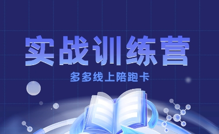 多多实战训练营，从0到1打造一个真正賺钱的店铺-小艾项目网