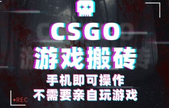 CSGO游戏挂G捡漏，单日扫货5张+，年底小高峰上车可吃肉，手机即可操作，兼职副业创业网创【揭秘】-小艾项目网