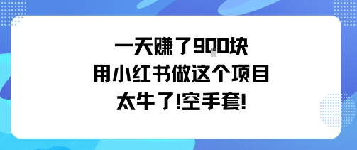 一天挣了9张用小红书做这个项目太牛了，空手套-百盛轻创