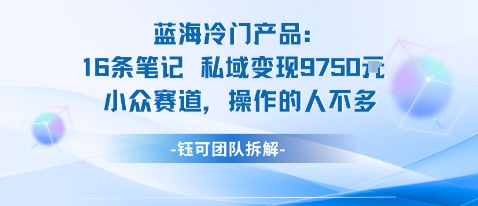 蓝海项目：16条笔记私域变现9750米小众赛道操作的人不多-百盛轻创