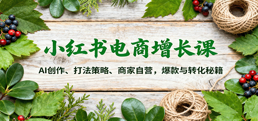 小红书电商增长课：AI创作、打法策略、商家自营，爆款与转化秘籍-百盛轻创