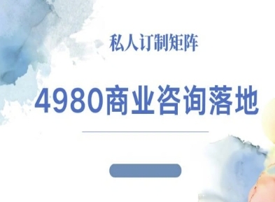 4980商业咨询师落地课程-ip运营高客单教程-小艾项目网