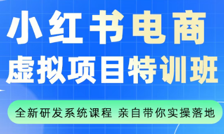 陆明明·小红书虚拟项目特训班(更新9月)-百盛轻创