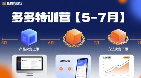 多多特训营，产品决定上限，方法决定下限，各种玩法技巧落地实操(更新)-小艾项目网