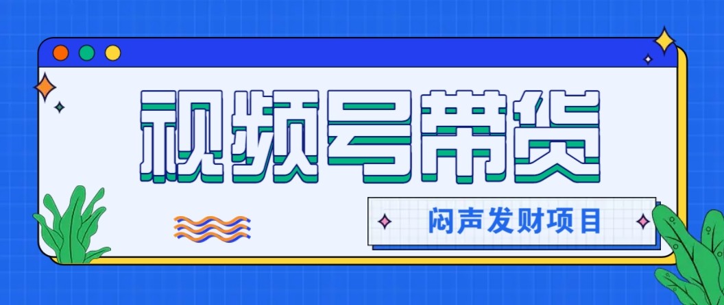 微信视频号带货项目，轻松日赚赚2000+，这个挣钱入口很多伙伴都在闷声发财-百盛轻创