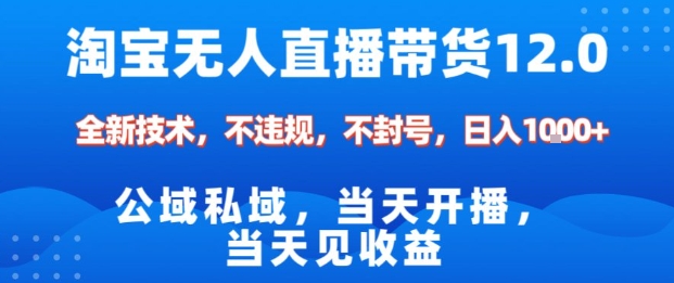 淘宝无人直播12.0，公域私域技术，不封号，不违规布局双十一流量风口，日入1k(独家技术)【揭秘】-百盛轻创