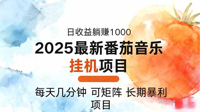 2025年最新番茄音乐人挂机项目，每天几分钟，月入1000＋，可矩阵，一台…-小艾项目网