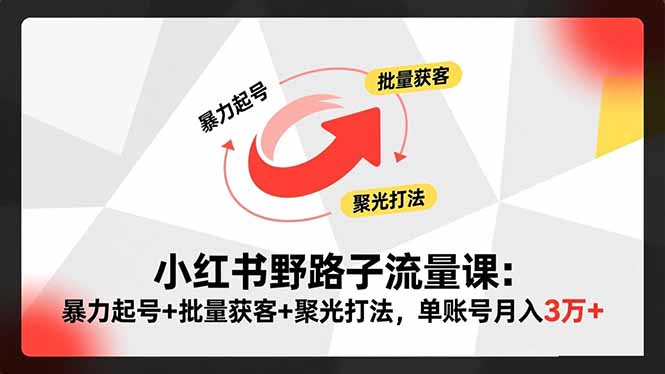 小红书野路子流量课：暴力起号+批量获客+聚光打法，单账号月入3万+-小艾项目网