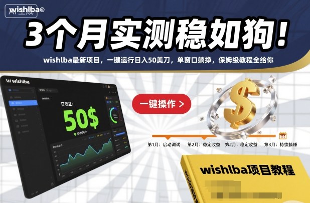 3个月实测稳如狗！wishlba最新项目，一键运行日入50美刀，单窗口躺挣，保姆级教程全给你【揭秘】-百盛轻创
