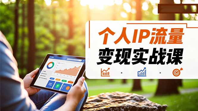 个人IP流量变现实战课，涵盖多平台引流、打造个人IP并实现稳定流量变现-百盛轻创