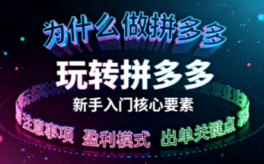 新手小白如何做拼多多-小艾项目网