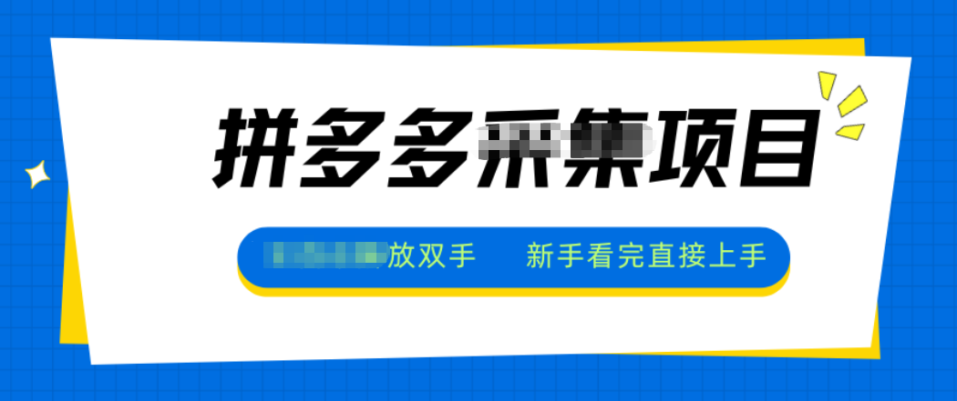 拼多多电商采集，一小时50+，操作简单，零投资-百盛轻创