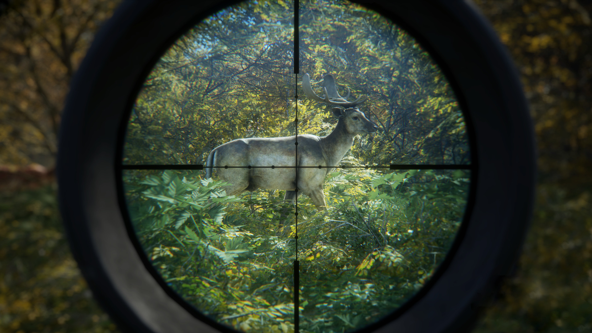 《猎人：荒野的召唤/theHunter: Call of the Wild》PC中文版下载-含v3101875-百盛轻创