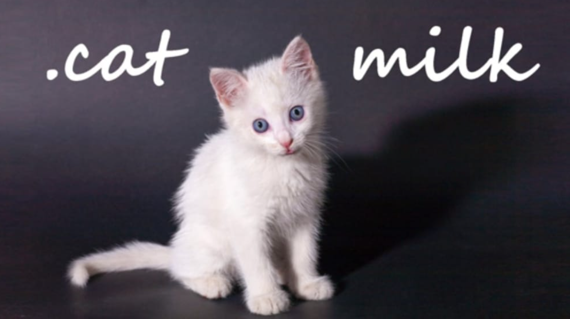 《小奶猫 .cat Milk》Switch英文版NSP下载-百盛轻创