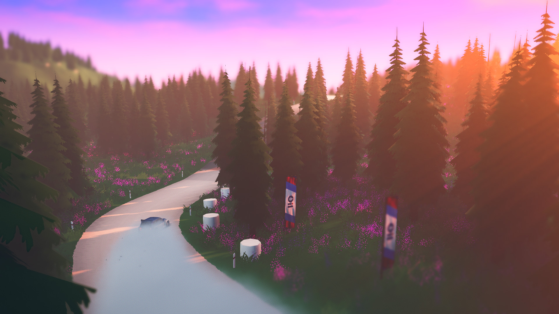 《拉力赛艺术 art of rally》Switch中文版NSZ下载 – 含1.1.9补丁-百盛轻创