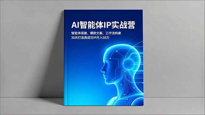 AI智能体IP实战营，智能体搭建、爆款文案、工作流构建，30天打造高成交IP月入50万-百盛轻创