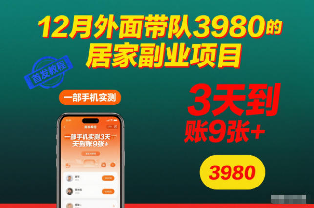 12月外面带队3980的居家副业项目，一部手机实测3天到账9张+，首发教程【揭秘】-百盛轻创