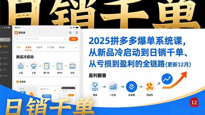 2025拼多多爆单系统课，从新品冷启动到日销千单、从亏损到盈利的全链路(更新12月-小艾项目网