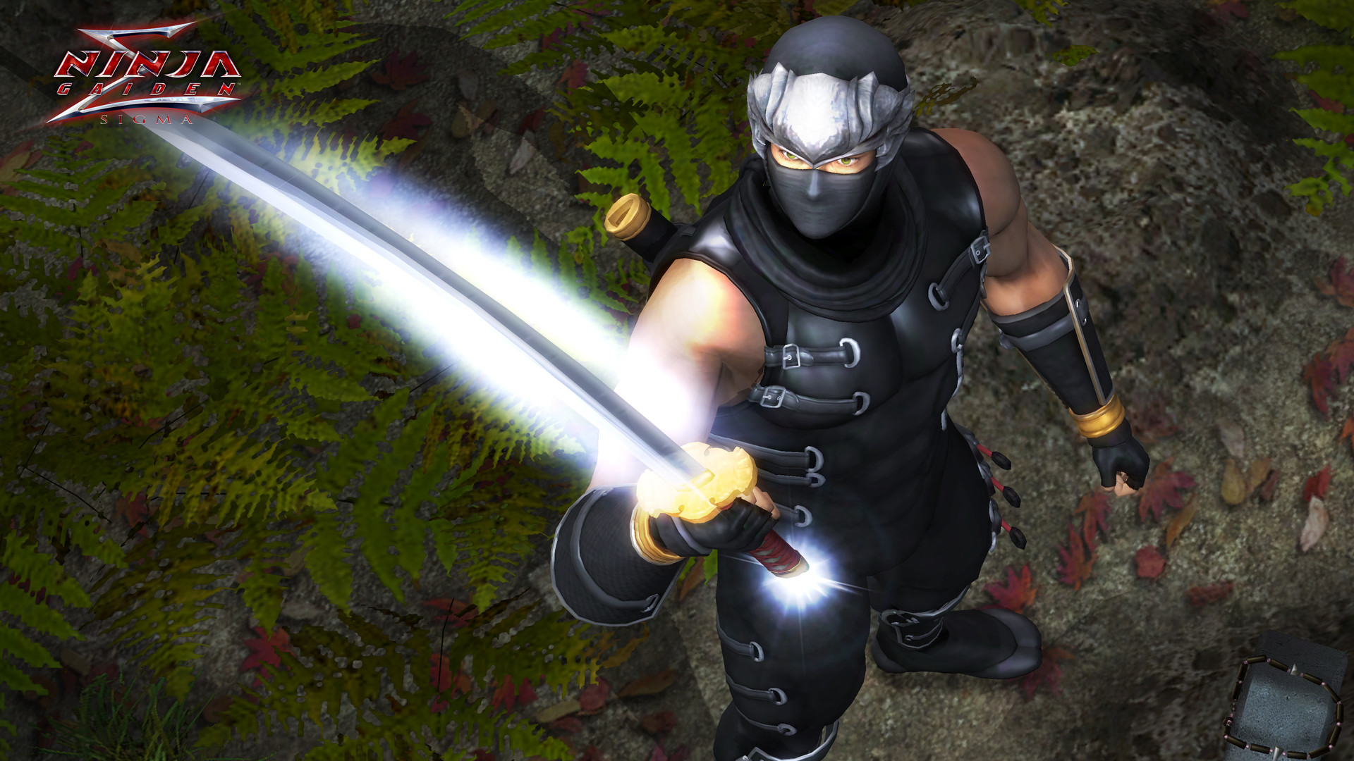 《忍者龙剑传：大师合集/NINJA GAIDEN: Master Collection》PC中文版下载-含v1.0.0.3-百盛轻创