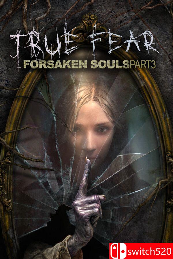《真实恐惧：被遗弃的灵魂3（True Fear: Forsaken Souls P3）》v1.0.14 [中文/英文]-百盛轻创