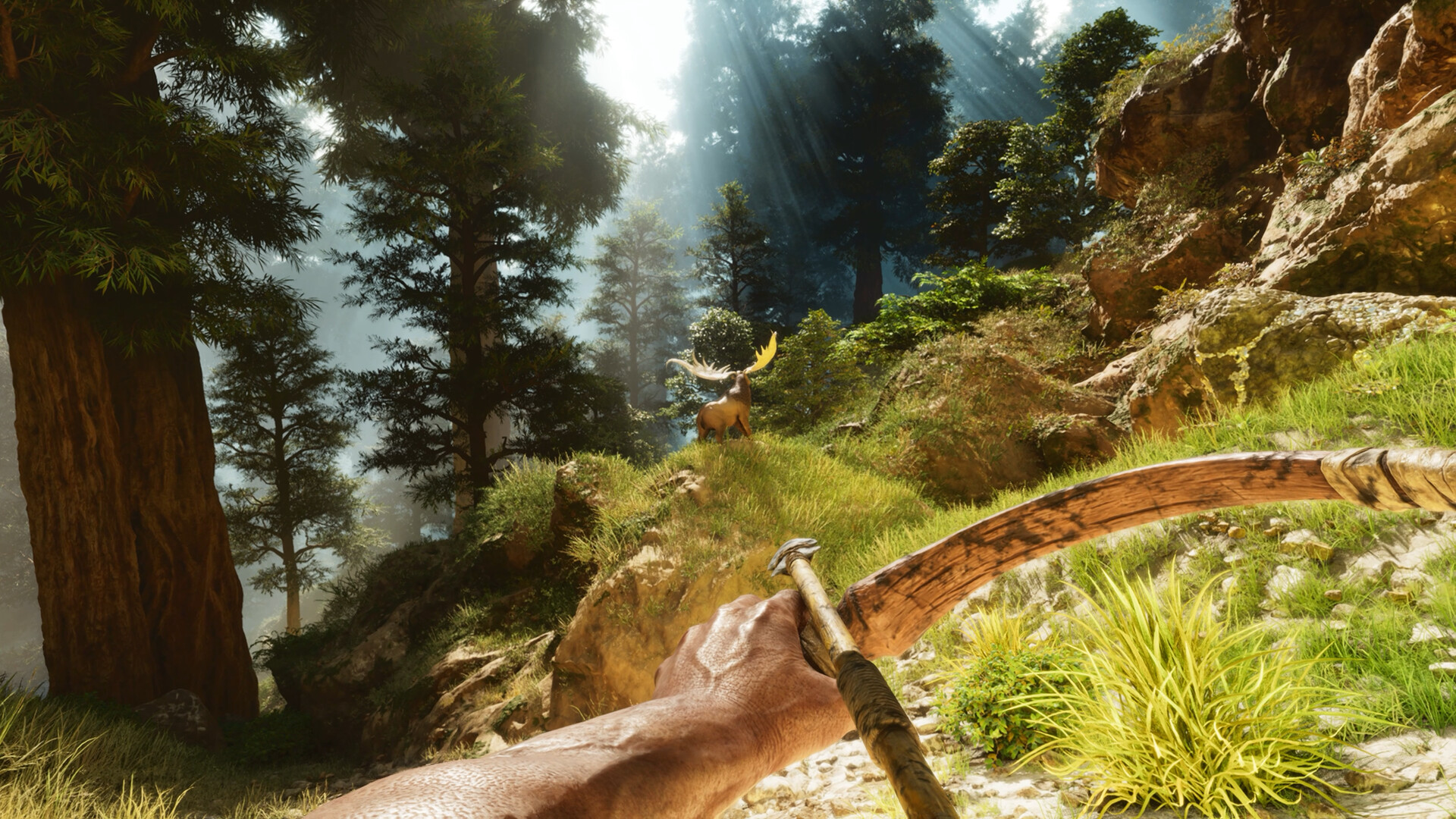 PC游戏《方舟: 生存飞升/ARK: Survival Ascended》中文v77.54下载-小艾项目网