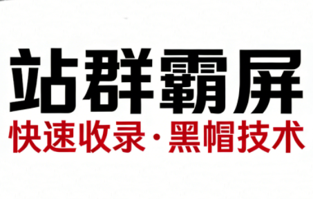 SEO野路子实战全集：快速收录、站群霸屏、黑帽技术-百盛轻创