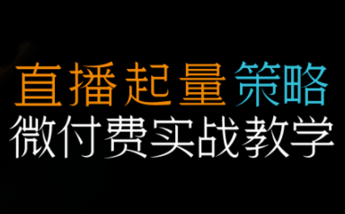 半野老师·直播带货起量与微付费必学课视频号(更新2026)-百盛轻创